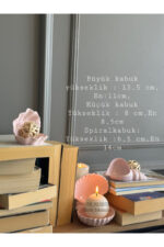 Masa üstü 3’lü Deniz Kabuğu,Yatak odası,çocuk odası ,ofis,kitaplık dekoru,mumluk,biblo,sunumluk - Görsel 4