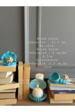 Masa üstü 3’lü Deniz Kabuğu,Yatak odası,çocuk odası ,ofis,kitaplık dekoru,mumluk,biblo,sunumluk - Görsel 3